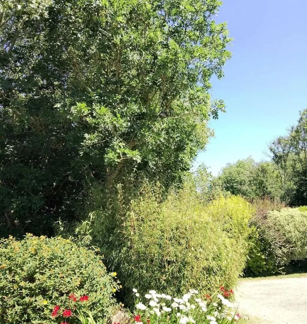 Campsite Camping 3 Etoiles - Piscine - Eeeg0A Pouldreuzic
