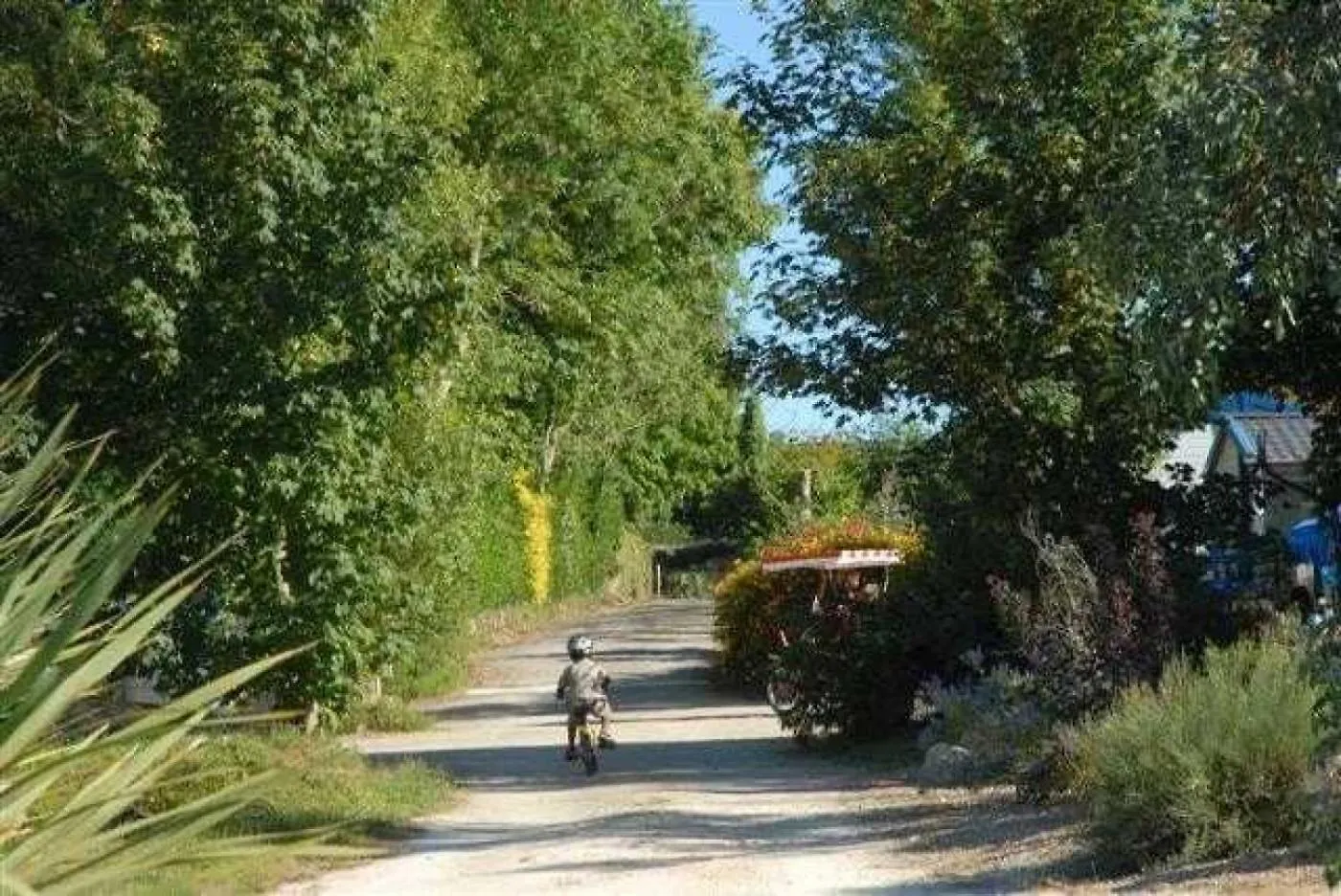 Campsite Camping 3 Etoiles - Piscine - Eeeg0A Pouldreuzic